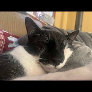 Meet your Posher, Kennedy